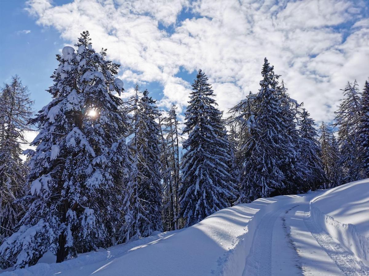 Ferienhaeuser Troester Bad Kleinkirchheim Exterior foto