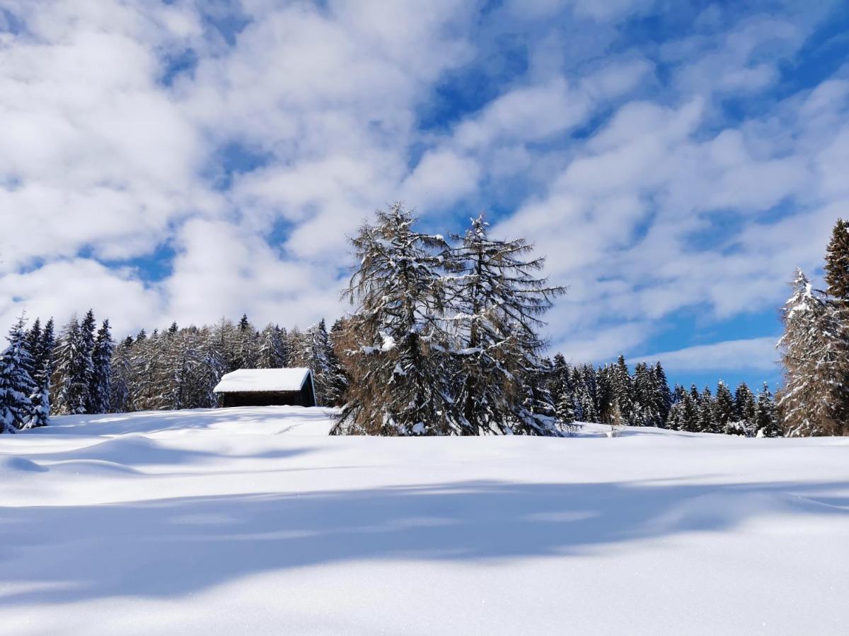 Ferienhaeuser Troester Bad Kleinkirchheim Exterior foto