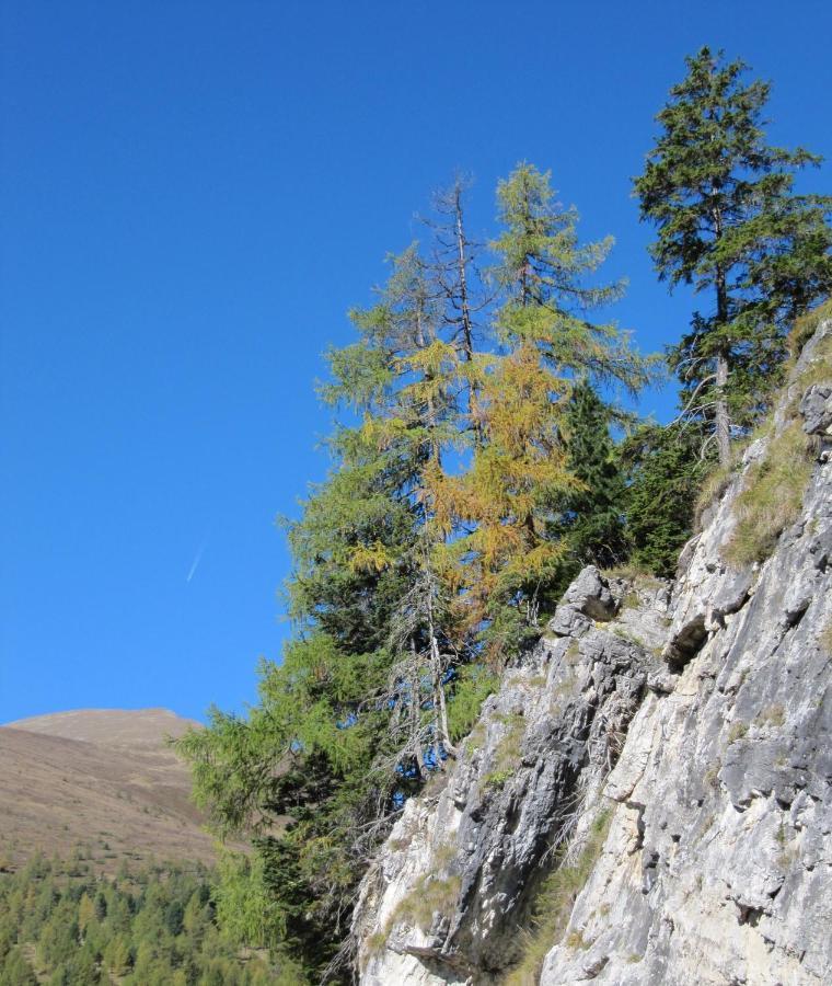 Ferienhaeuser Troester Bad Kleinkirchheim Exterior foto
