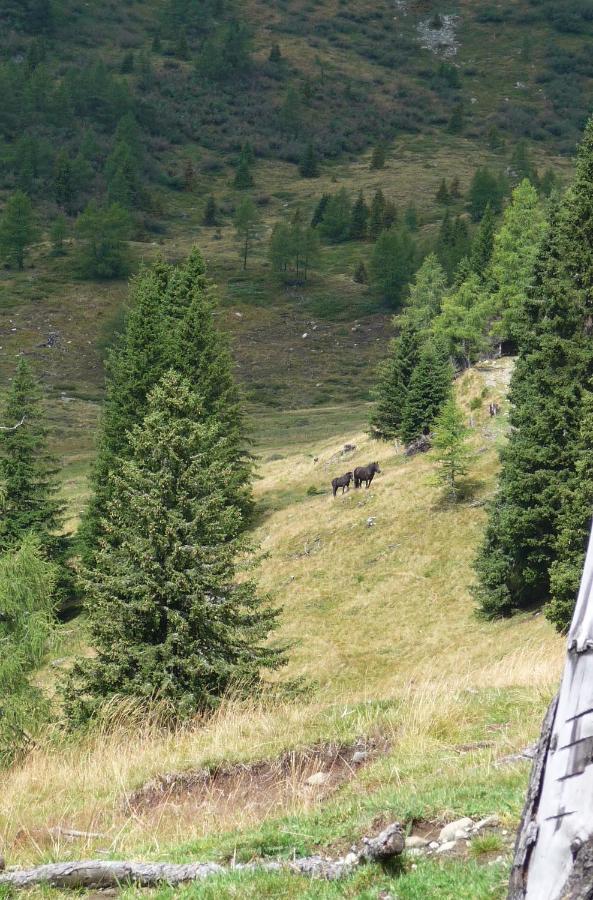 Ferienhaeuser Troester Bad Kleinkirchheim Exterior foto